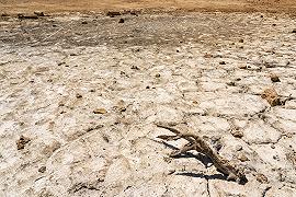 Una guida turistica dei deserti italiani