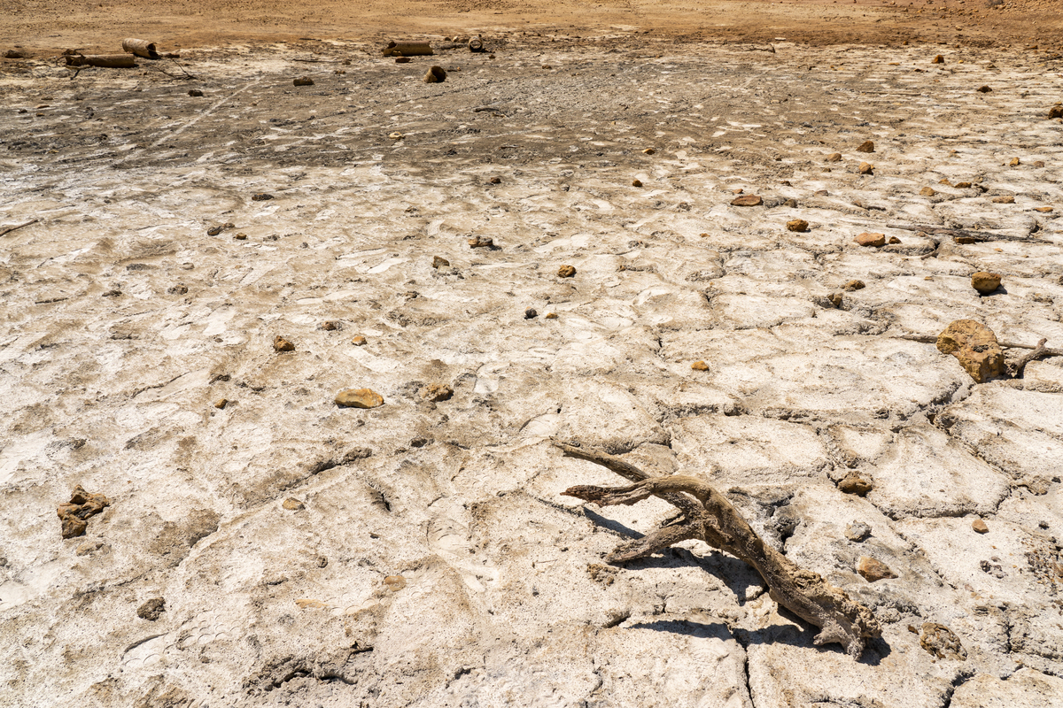 Una guida turistica dei deserti italiani
