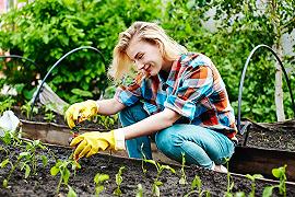 Settore agricolo: aziende femminili in crescita