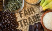 Fair Trade: ecco cos'è e quali sono gli obiettivi