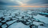 Cambiamenti climatici: il ghiaccio marino risponde subito