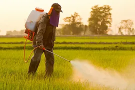 Glifosato: l’Italia vota a favore della proroga dell’autorizzazione per un altro anno