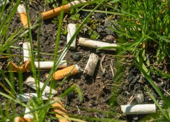 Fumo e sigarette avvelenano anche l'ambiente oltre alla salute
