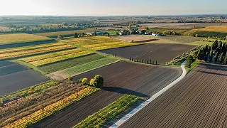 Enea lancia il progetto per lo sviluppo dell’agroalimentare