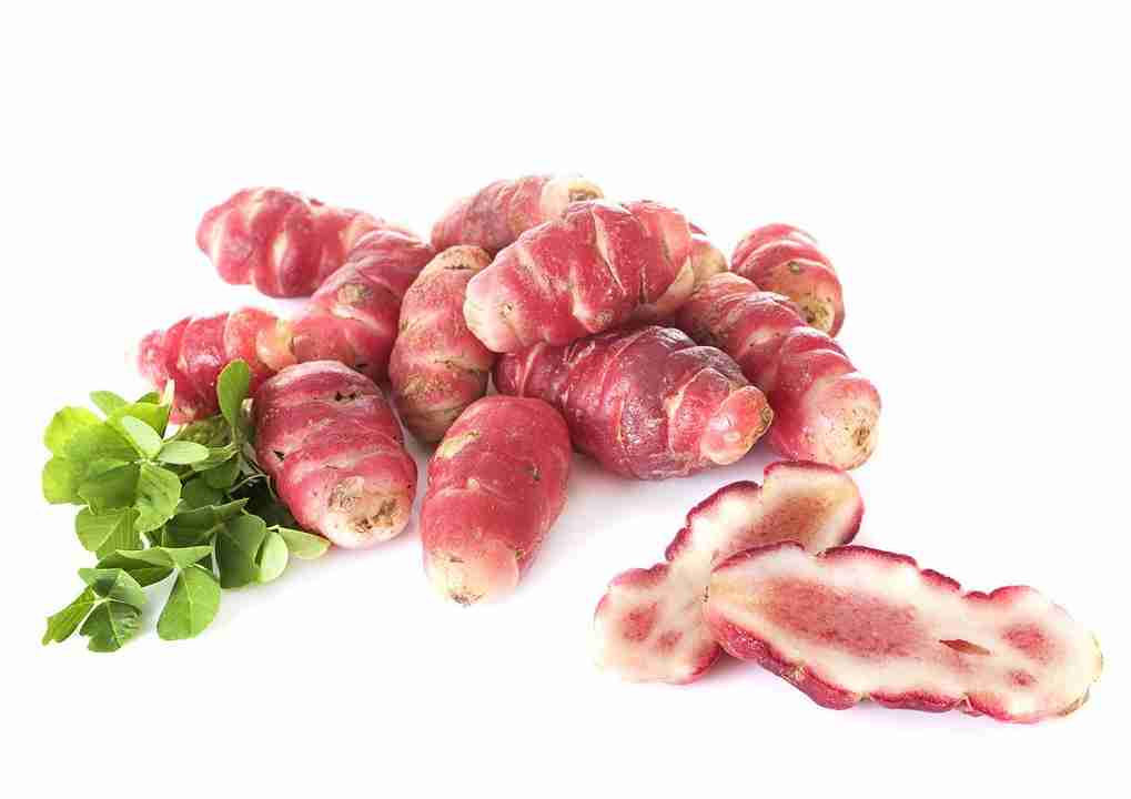 oca del Perù