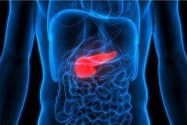 Pancreas: è nato l’autotrapianto cellulare