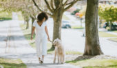 Cani: passeggiarci insieme dà felicità