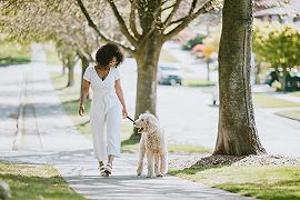 Cani: passeggiarci insieme dà felicità