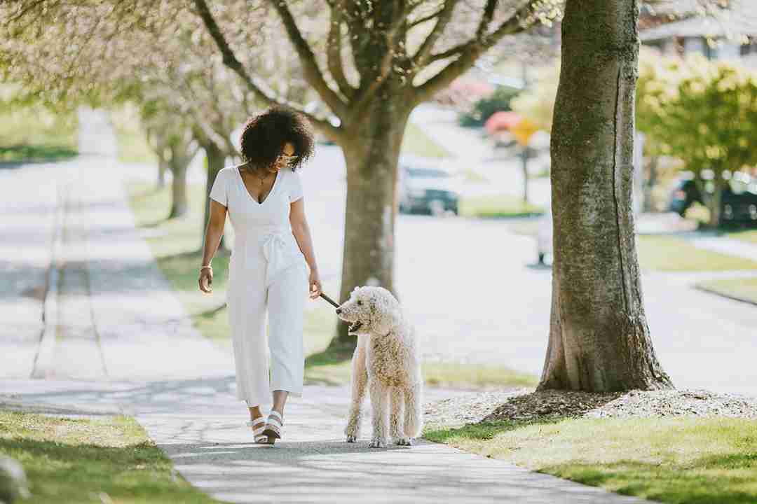 passeggiare con il cane