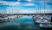 Posti barca: previsti 100 milioni di investimenti in Adriatico