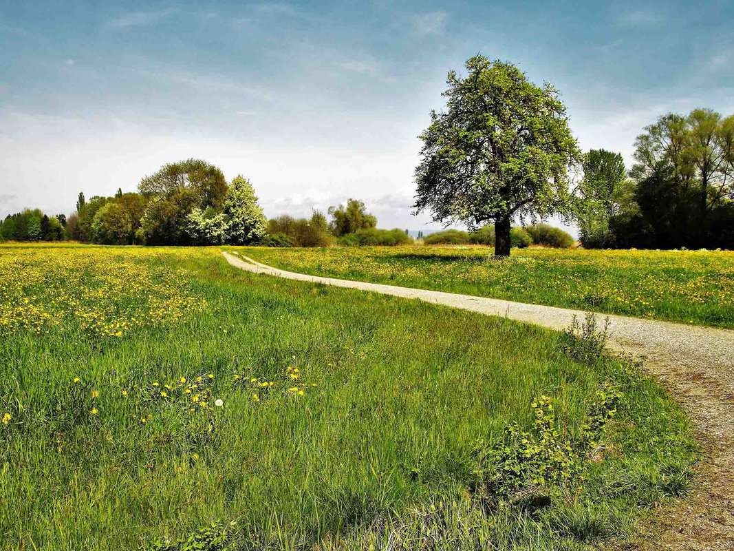 Droni: analizzano i rischi ambientali