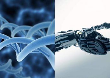 Medicina: nuovo prototipo di robot che si scompone per viaggiare nel corpo umano
