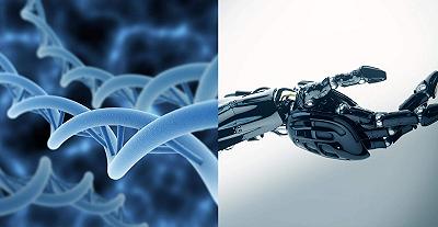 Medicina: nuovo prototipo di robot che si scompone per viaggiare nel corpo umano