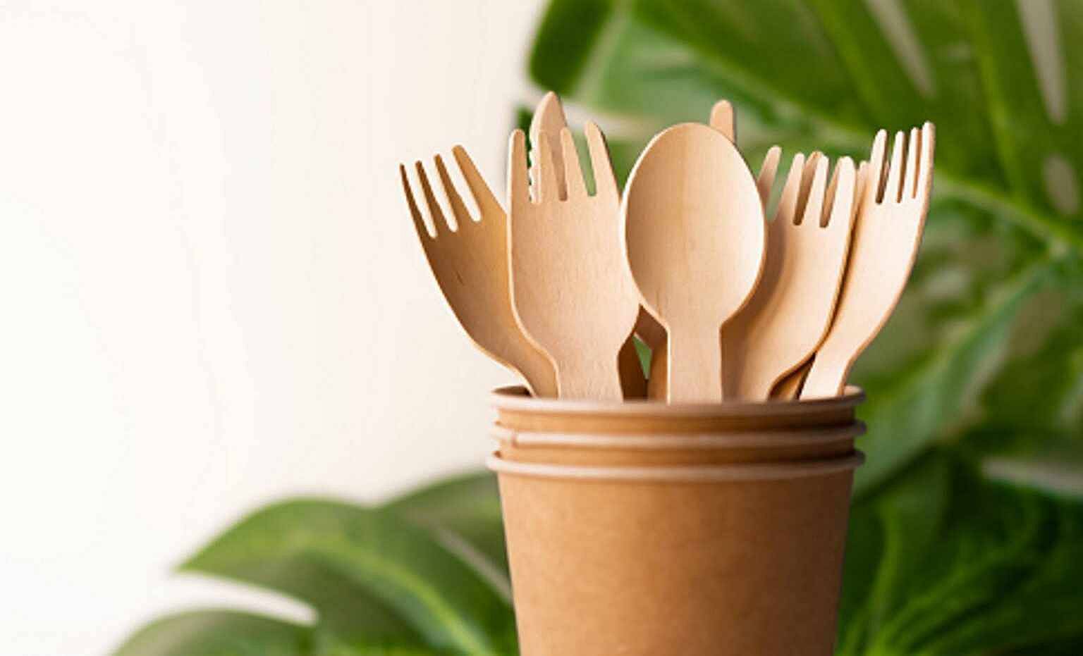 Stoviglie biodegradabili: il settore Ho.Re.Ca. diventa green