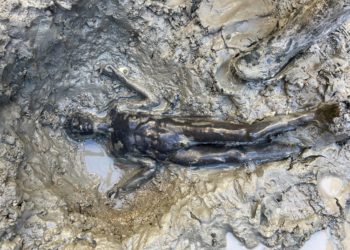 San Casciano dei Bagni: 24 bronzi riemergono dal fango