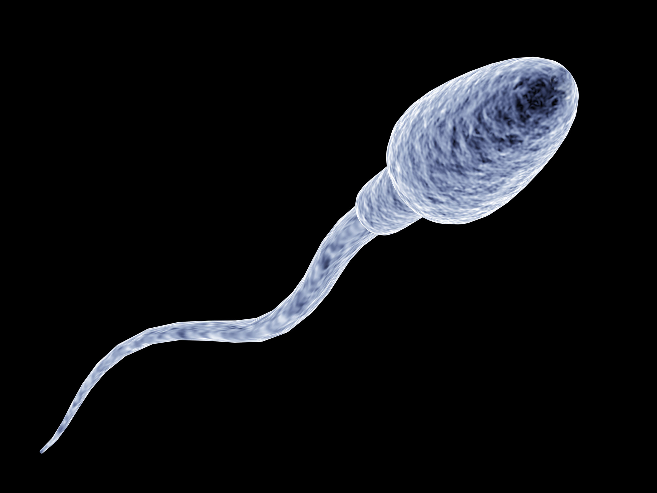 Il numero degli spermatozoi diminuisce significativamente