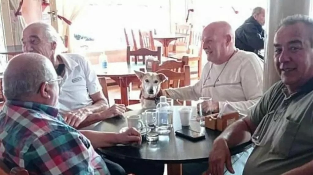 Corchito cane nel bar a Buenos Aires