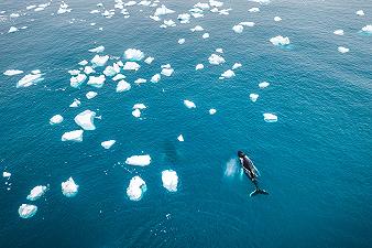 Groenlandia: l’uomo ha cambiato le caratteristiche ambientali