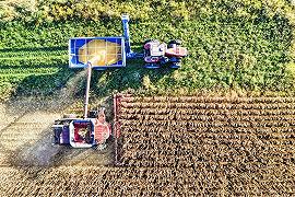 Agricoltura: automazione necessaria secondo la Fao