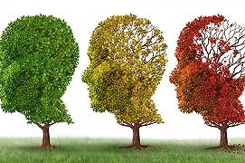 L’Alzheimer sconfitto dalla matematica