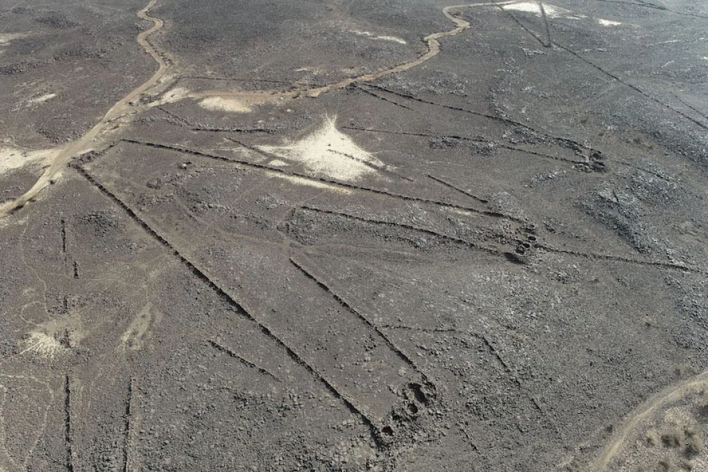 Preistoria: gli aquiloni incisi nel terreno erano, in realtà, delle trappole giganti