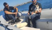 cani salvati da guardia costiera