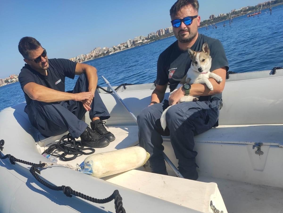 cani salvati da guardia costiera