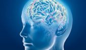 Psicoterapia e neuroplasticità: qual è il nesso?
