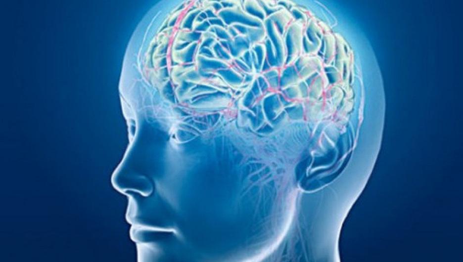 Psicoterapia e neuroplasticità: qual è il nesso?