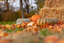 L’Ottobre più caldo nel Nord Italia dal 1800