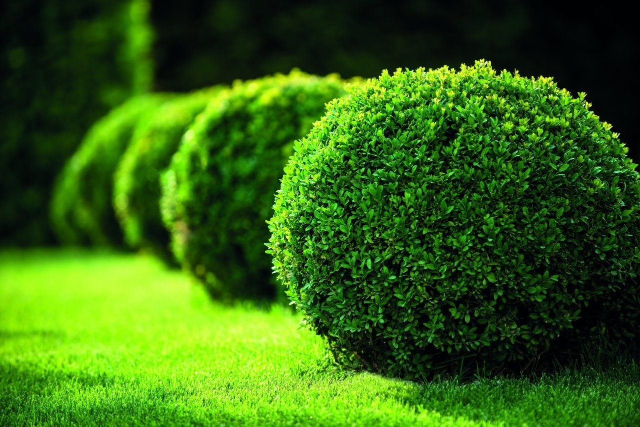 Giardiniere d’arte: nuovo progetto in Emilia-Romagna