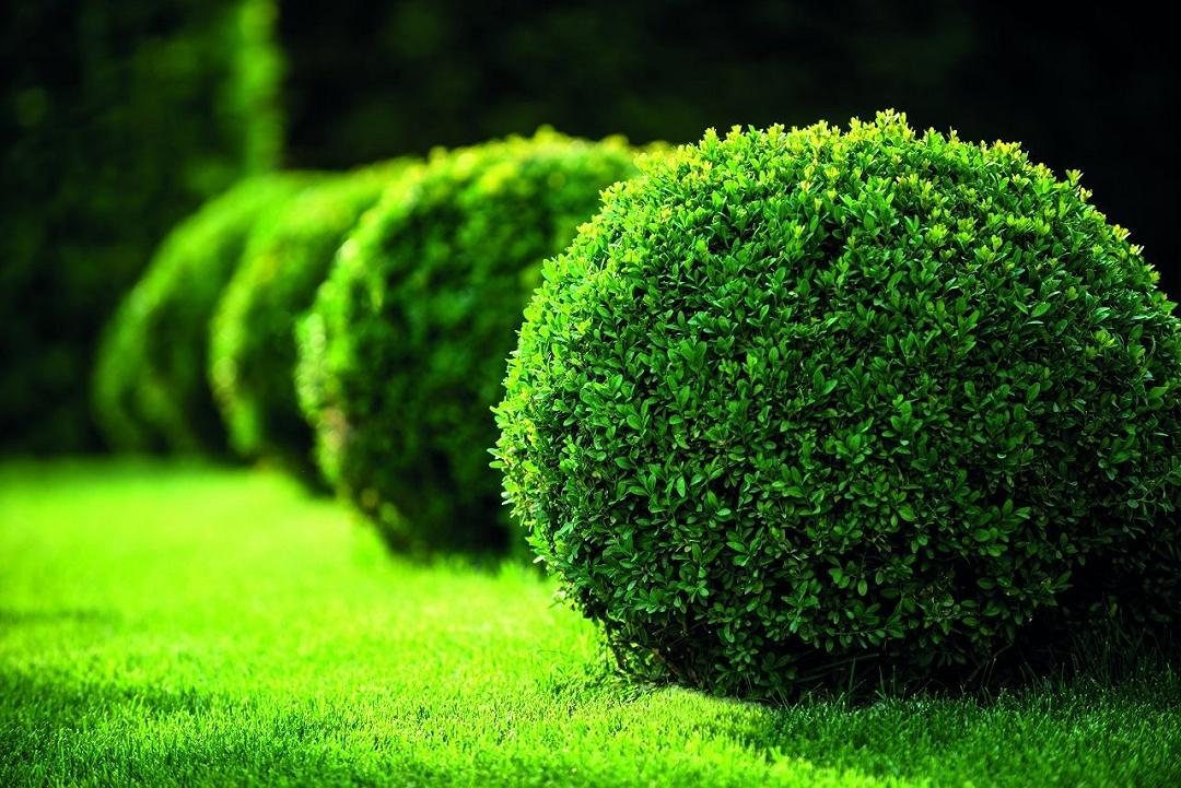 Giardiniere d’arte: nuovo progetto in Emilia-Romagna