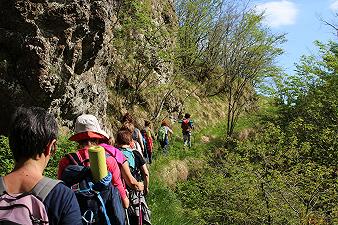Guida Ambientale Escursionistica: requisiti della professione