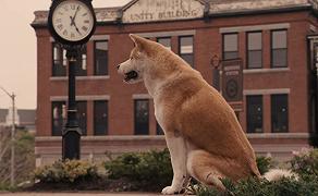 Hachiko con Richard Gere nuovamente nei cinema il 13 dicembre