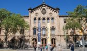 Crisi ecologica: dal 2024 l'Università di Barcellona darà il via a un corso obbligatorio per tutti gli studenti