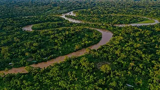 Amazzonia: ottobre da record per la deforestazione