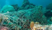 Mar Ligure: una rete di 300 metri sul fondale inquinava e soffocava la biodiversità