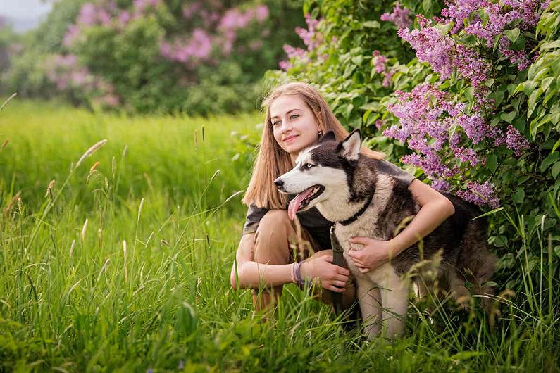 Imprinting: 10 segnali mostrano che il tuo cane ti ama