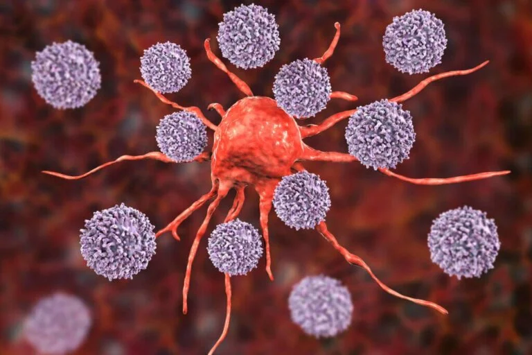 I globuli bianchi responsabili delle malattie autoimmuni, trovato il vero colpevole