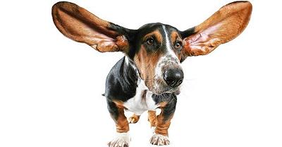 Allenare l’orecchio migliora l’udito