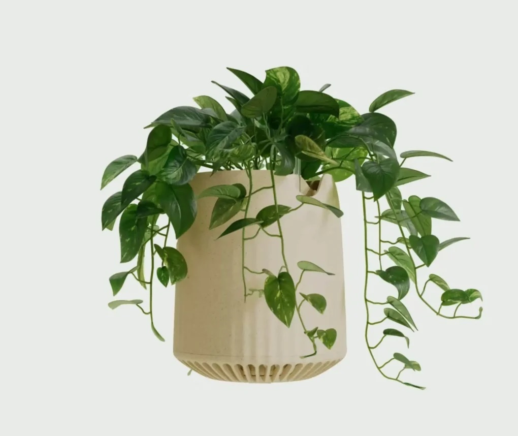 Piante Neoplants: catturano la tossicità degli ambienti