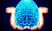 Identificati i fattori chiave per la rigenerazione del tessuto cerebrale