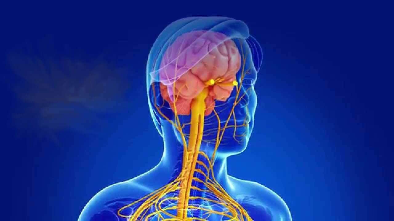Sclerosi multipla: i vantaggi della diagnosi e delle cure anticipate