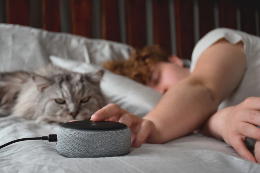 Intelligenza artificiale: anche lei ha bisogno di dormire