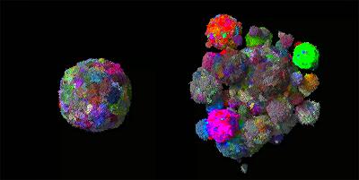 Avatar 3D dei tumori dei pazienti