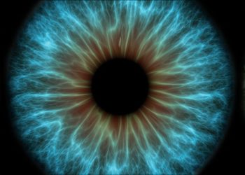 "Mini occhi" che aiutano gli scienziati a comprendere una condizione genetica che causa cecità