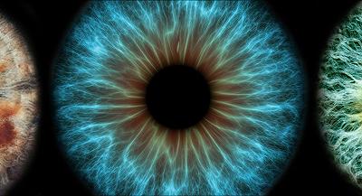 “Mini occhi” che aiutano gli scienziati a comprendere una condizione genetica che causa cecità