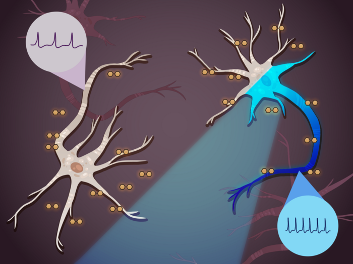 Nuovi trattamenti per le malattie neurologiche come l’epilessia