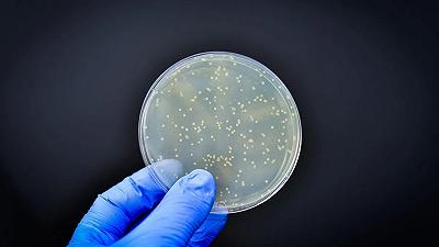 Batteri: scoperto il meccanismo che resiste agli antibiotici
