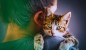 benessere del gatto e personalità del suo umano